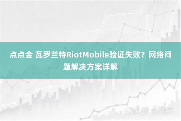 点点金 瓦罗兰特RiotMobile验证失败？网络问题解决方案详解