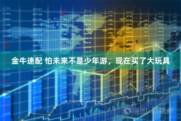 金牛速配 怕未来不是少年游，现在买了大玩具