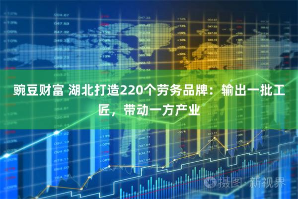 豌豆财富 湖北打造220个劳务品牌：输出一批工匠，带动一方产业