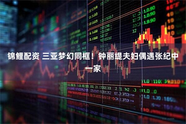 锦鲤配资 三亚梦幻同框！钟丽缇夫妇偶遇张纪中一家