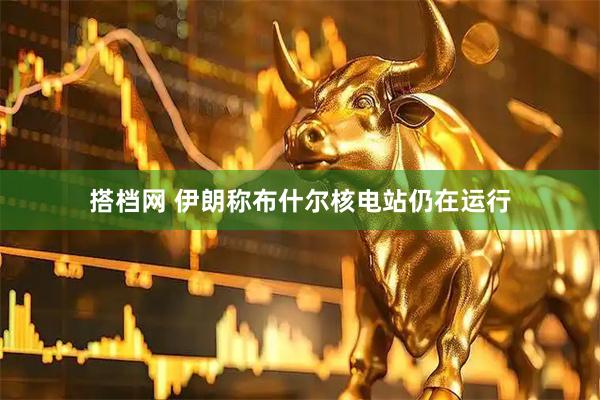搭档网 伊朗称布什尔核电站仍在运行