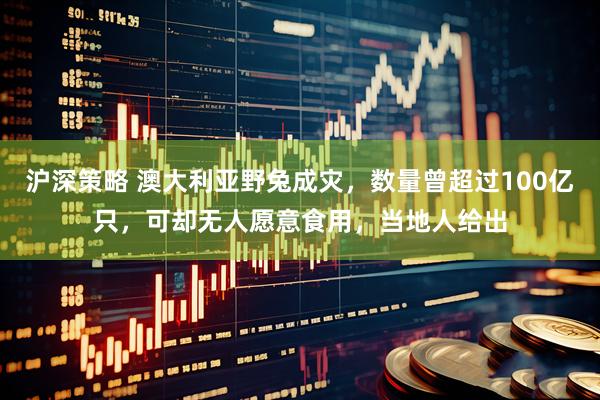 沪深策略 澳大利亚野兔成灾，数量曾超过100亿只，可却无人愿意食用，当地人给出