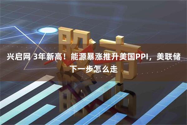 兴启网 3年新高！能源暴涨推升美国PPI，美联储下一步怎么走