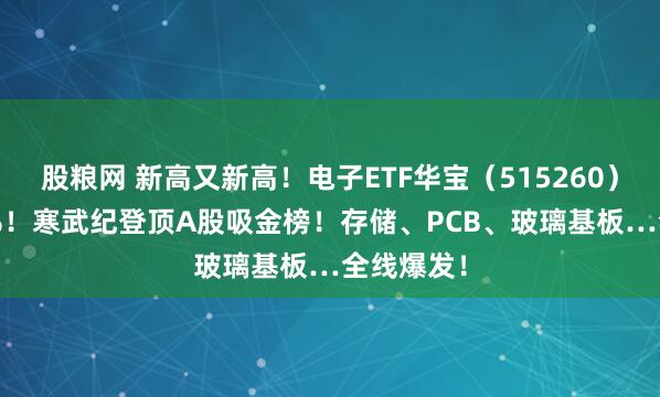 股粮网 新高又新高！电子ETF华宝（515260）再涨2.7%！寒武纪登顶A股吸金榜！存储、PCB、玻璃基板…全线爆发！