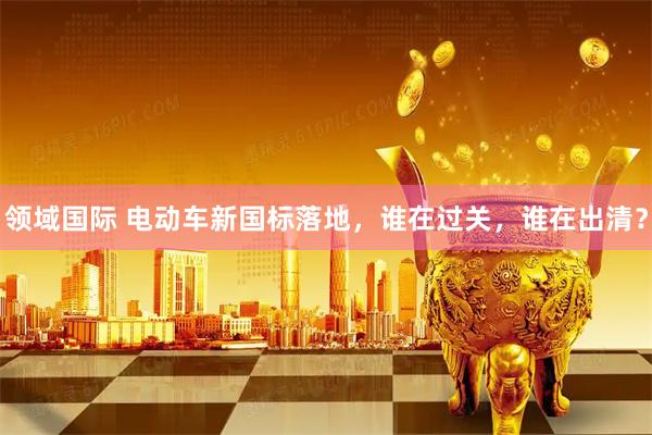 领域国际 电动车新国标落地，谁在过关，谁在出清？