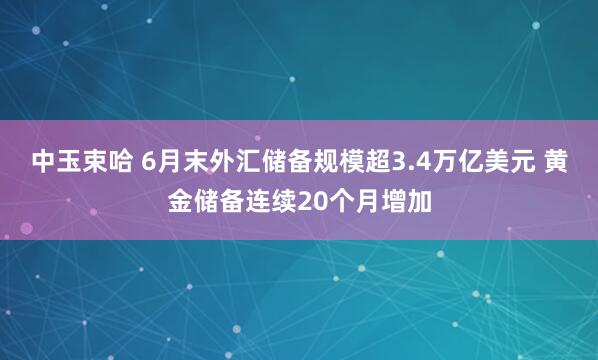 中玉束哈 6月末外汇储备规模超3.4万亿美元 黄金储备连续20个月增加