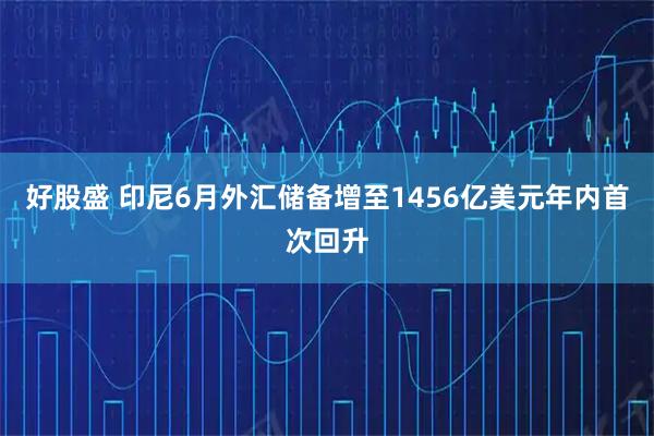 好股盛 印尼6月外汇储备增至1456亿美元　年内首次回升