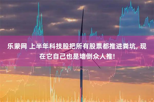 乐蒙网 上半年科技股把所有股票都推进粪坑, 现在它自己也是墙倒众人推!