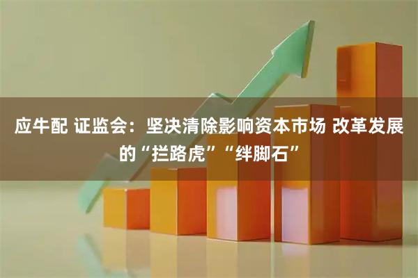 应牛配 证监会：坚决清除影响资本市场 改革发展的“拦路虎”“绊脚石”