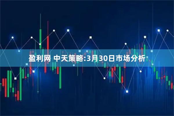 盈利网 中天策略:3月30日市场分析
