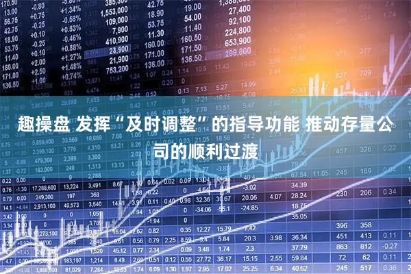 趣操盘 发挥“及时调整”的指导功能 推动存量公司的顺利过渡