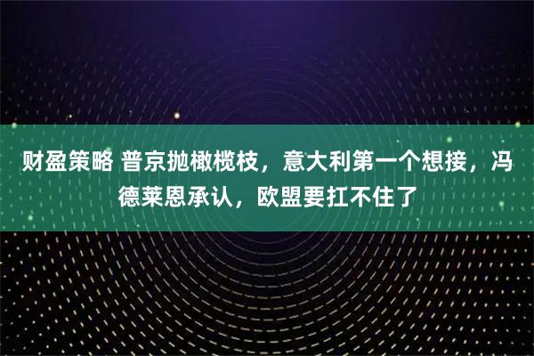 财盈策略 普京抛橄榄枝，意大利第一个想接，冯德莱恩承认，欧盟要扛不住了