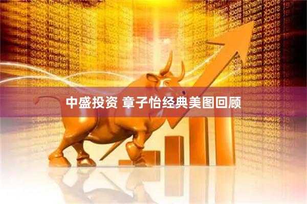 中盛投资 章子怡经典美图回顾